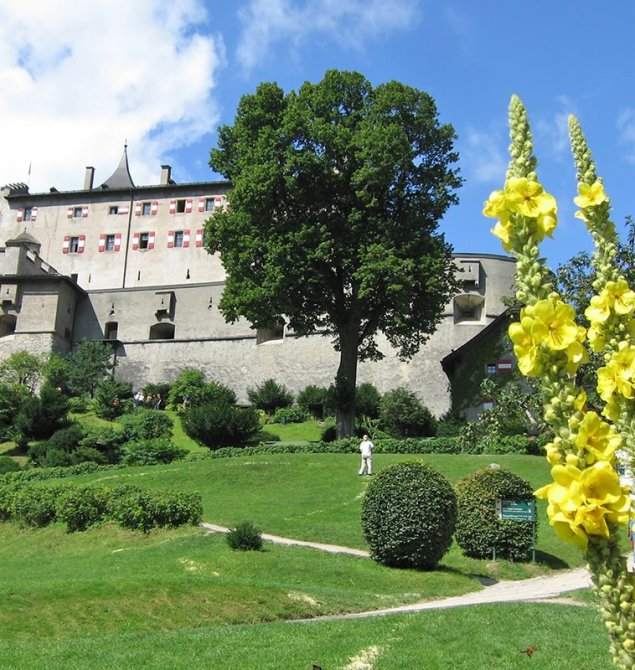 Festung Hohenwerfen