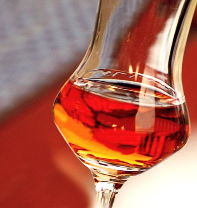 Begrüßungsdrink Roman Spezial 
