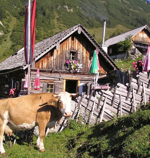 Animoshütte in der Rinnbergalm