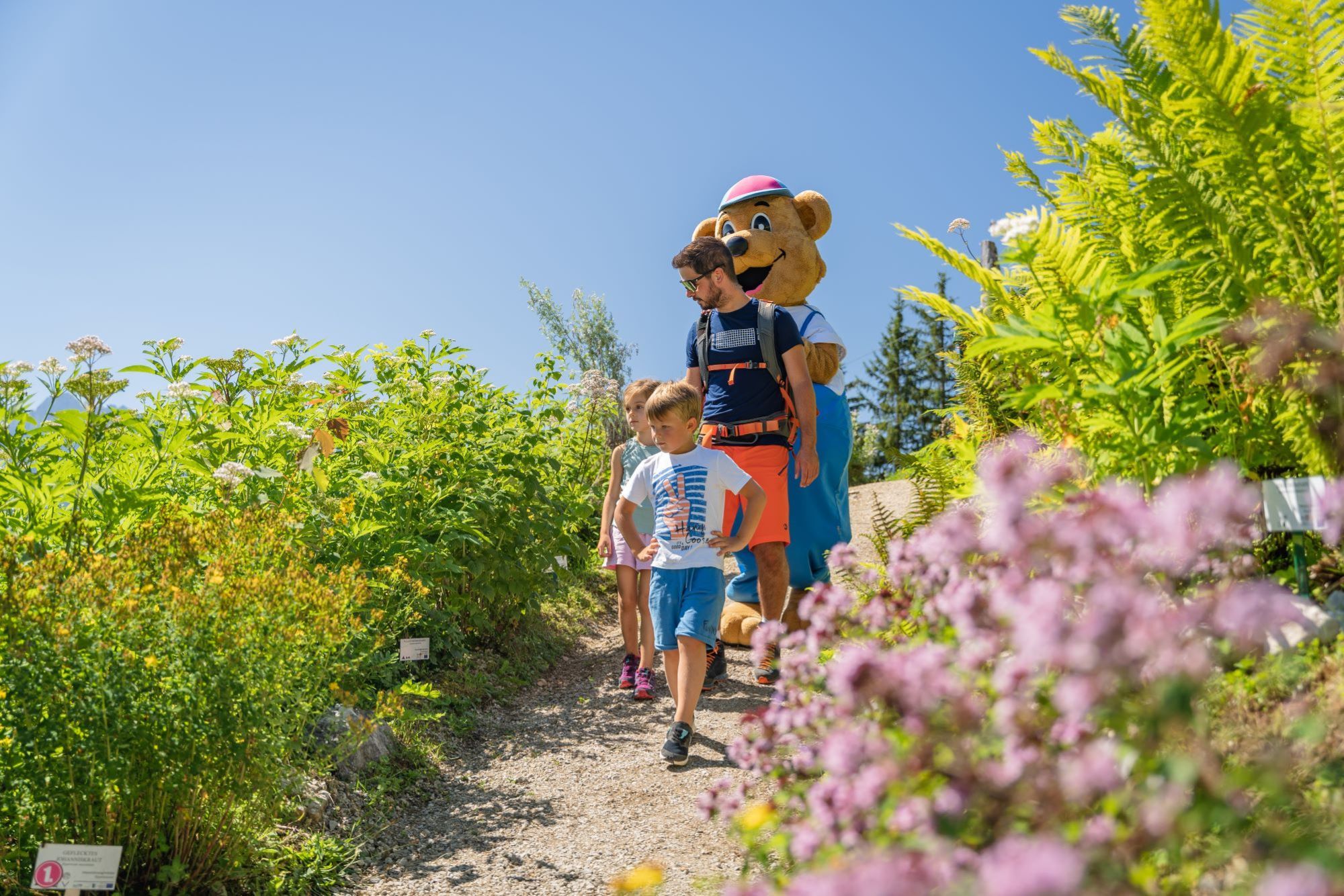Paradies für Kinder am Hornspitz in Russbach