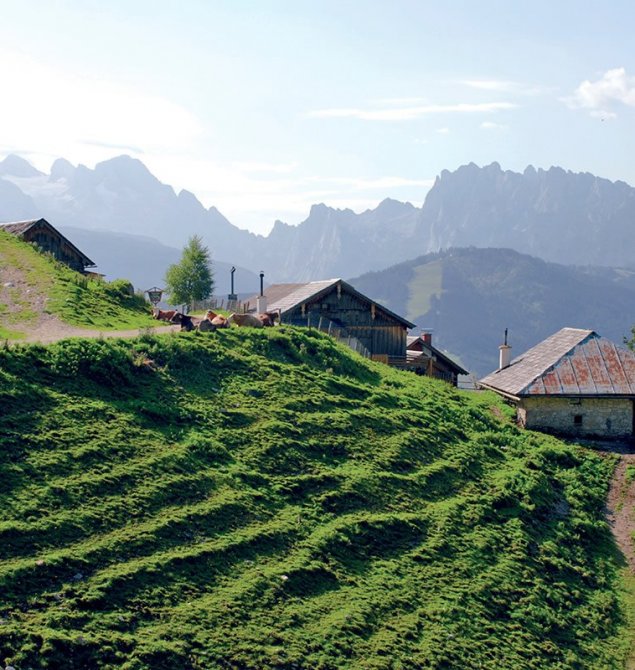 Wanderung zur Rinnbergalm