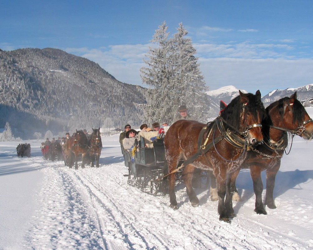 Romantische Pferdeschittenfahrt