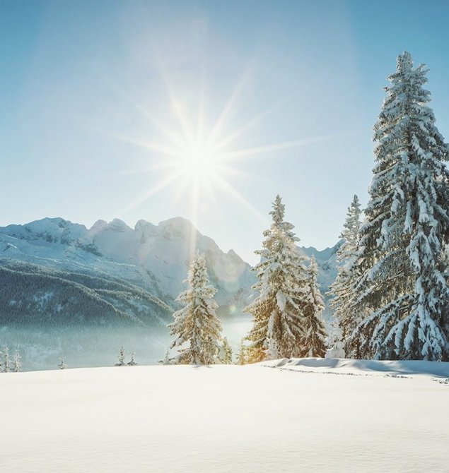 Traumhafte Winterlandschaft