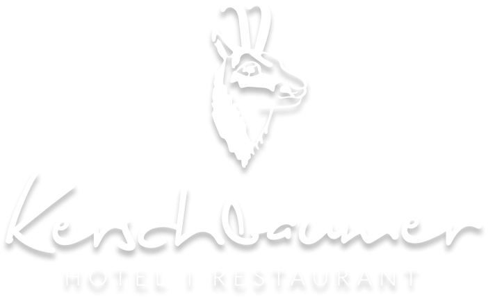 Hotel Restaurant Kerschbaumer in Russbach, Salzburger Land, Region Dachstein West am Rande vom Salzkammergut